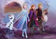 Dėlionių rinkinys Clementoni Play For Future Ledo šalis 2 (Frozen 2), 2 x 20 d. цена и информация | Dėlionės (puzzle) | pigu.lt