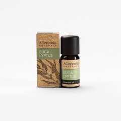 Eterinis eukaliptų aliejus ACappella Naturals, 10 ml kaina ir informacija | Eteriniai, kosmetiniai aliejai, hidrolatai | pigu.lt