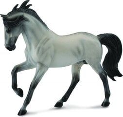 Figūrėlė Audaluian veislės pilkas žirgas Collecta (XL), 00488464 kaina ir informacija | Žaislai berniukams | pigu.lt