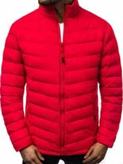 Куртка мужская стеганая красная Revar цена и информация | Мужские куртки | pigu.lt