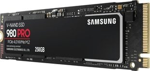 Samsung MZ-V8P250BW kaina ir informacija | Vidiniai kietieji diskai (HDD, SSD, Hybrid) | pigu.lt