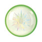 Skraidantis diskas Aerobie Skylighter, 25 cm цена и информация | Vandens, smėlio ir paplūdimio žaislai | pigu.lt