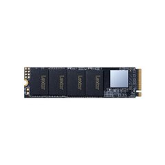 Lexar NM610 M.2 2280 NVMe 250GB SSD kaina ir informacija | Vidiniai kietieji diskai (HDD, SSD, Hybrid) | pigu.lt