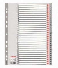 Разделительные пластиковые листы Esselte, 1-31, монохромные, A4 цена и информация | Тетради и бумажные товары | pigu.lt