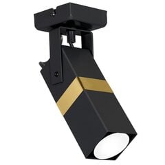 Milagro lubinis šviestuvas Vidar Black/Gold kaina ir informacija | Lubiniai šviestuvai | pigu.lt