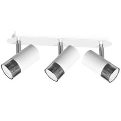 Milagro потолочный светильник Dani White/Chrome цена и информация | Потолочные светильники | pigu.lt