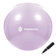 Мяч для упражнений с насосом Springos FB0011 65 см цена и информация | Гимнастические мячи | pigu.lt