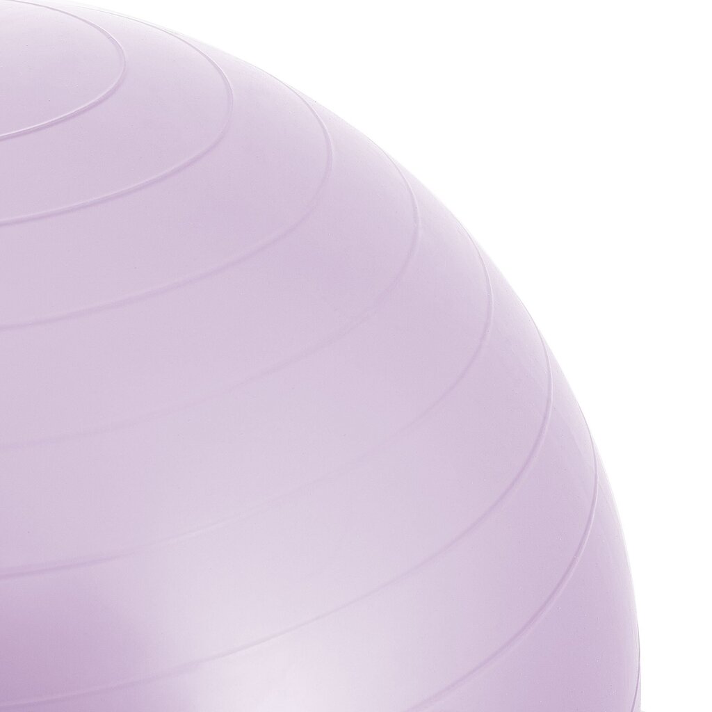 Mankštos kamuolys su pompa Springos FB0011 65 cm kaina ir informacija | Gimnastikos kamuoliai | pigu.lt