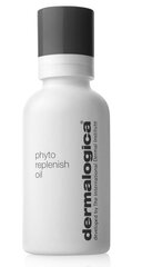 Восстанавливающее масло для лица Dermalogica Phyto Replenish Oil, 30 мл цена и информация | Сыворотки для лица, масла | pigu.lt