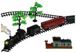 Elektrinis traukinys su vagonais bei 156 cm bėgių trasa kaina ir informacija | Žaislai berniukams | pigu.lt
