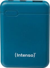 Intenso Powerbank XS10000, 10000 mAh kaina ir informacija | Atsarginiai maitinimo šaltiniai (power bank) | pigu.lt