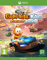 Garfield Kart Furious Racing Xbox One kaina ir informacija | Kompiuteriniai žaidimai | pigu.lt