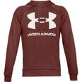 Džemperis vyrams Under Armour Rival Fleece Big Logo HD M 1357093 688, 67007