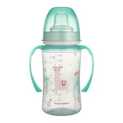 Тренировочная чашка Canpol Babies EasyStart, Exotic Animals 240 мл, 35/208, grey цена и информация | Бутылочки и аксессуары | pigu.lt