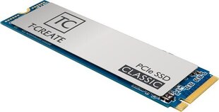 Team Group T-create Classic TM8FPE001T0C611 цена и информация | Внутренние жёсткие диски (HDD, SSD, Hybrid) | pigu.lt