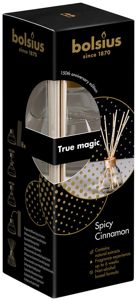 Bolsius namų kvapas True Magic Spicy Cinnamon, 45 ml kaina ir informacija | Namų kvapai | pigu.lt