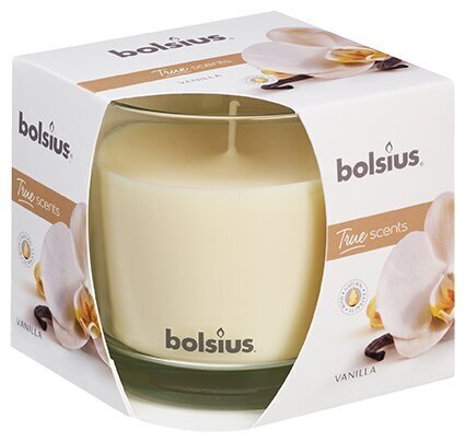 Kvapioji žvakė Bolsius True Scents Vanilla kaina ir informacija | Žvakės, Žvakidės | pigu.lt