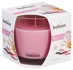 Kvapioji žvakė Bolsius True Scents Magnolia kaina ir informacija | Bolsius Baldai ir namų interjeras | pigu.lt