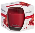 Ароматическая свеча Bolsius True Scents Pomegranate