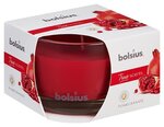 Kvapioji žvakė Bolsius True Scents Pomegranate