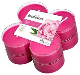 Набор ароматических свечей Bolsius True Scents Peony, 8 шт цена и информация | Подсвечники, свечи | pigu.lt