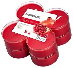 Kvapiųjų žvakių rinkinys Bolsius True Scents Pomegranate, 8 vnt kaina ir informacija | Žvakės, Žvakidės | pigu.lt