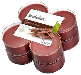 Kvapiųjų žvakių rinkinys Bolsius True Scents Oud Wood, 8 vnt kaina ir informacija | Žvakės, Žvakidės | pigu.lt