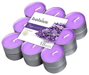 Свечки Bolsius True Scents, 18 шт., Лаванда цена и информация | Bolsius Мебель и домашний интерьер | pigu.lt