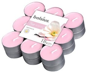 Свечки Bolsius True Scents, 18 шт., Магнолия цена и информация | Bolsius Мебель и домашний интерьер | pigu.lt