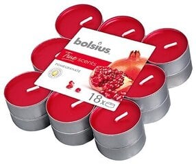 Набор ароматических свечей Bolsius True Scents Pomegranate, 18 шт цена и информация | Подсвечники, свечи | pigu.lt