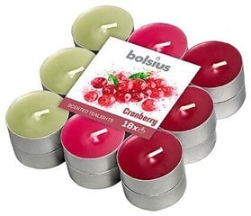 Набор ароматических свечей Bolsius, 18 шт. цена и информация | Подсвечники, свечи | pigu.lt