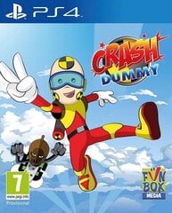 PS4 Crash Dummy kaina ir informacija | Kompiuteriniai žaidimai | pigu.lt