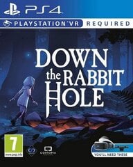 PS VR Down the Rabbit Hole цена и информация | Компьютерные игры | pigu.lt