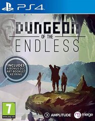 PS4 Dungeon of the Endless цена и информация | Компьютерные игры | pigu.lt