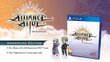 PS4 Alliance Alive HD Remastered Awakening Edition kaina ir informacija | Kompiuteriniai žaidimai | pigu.lt