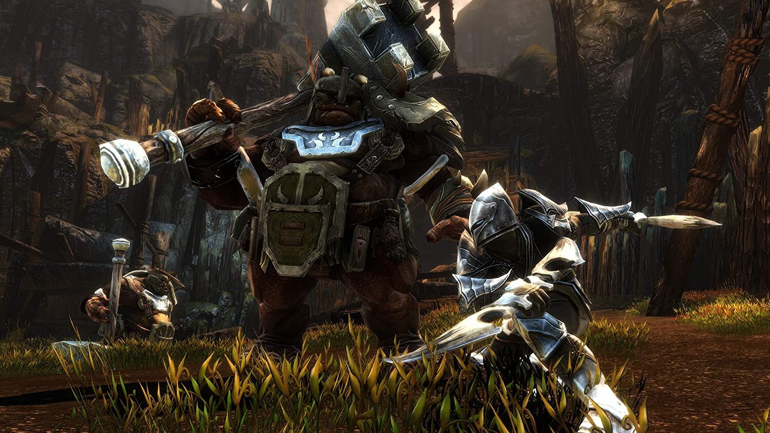 Xbox One Kingdoms of Amalur: Re-Reckoning kaina ir informacija | Kompiuteriniai žaidimai | pigu.lt