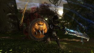 PS4 Kingdoms of Amalur: Re-Reckoning kaina ir informacija | Kompiuteriniai žaidimai | pigu.lt