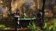 PS4 Kingdoms of Amalur: Re-Reckoning kaina ir informacija | Kompiuteriniai žaidimai | pigu.lt