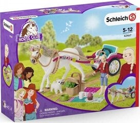 Figūrėlė Schleich Arklių paroda kaina ir informacija | Žaislai mergaitėms | pigu.lt