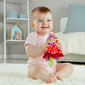 Minkštas žaislas Flowerini Hape, E0028 kaina ir informacija | Žaislai kūdikiams | pigu.lt