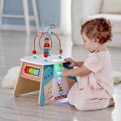 Активный куб Hape Light-Up Cirkus, E1813 цена и информация | Игрушки для малышей | pigu.lt