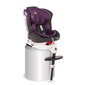 Automobilinė kėdutė Lorelli Pegasus, Isofix, 0-36 kg, Grey&Violet kaina ir informacija | Autokėdutės | pigu.lt