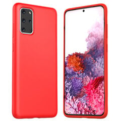 Dėklas Araree Typo Skin Apple iPhone 11 Pro Max, raudonas kaina ir informacija | Telefono dėklai | pigu.lt