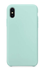 Чехол Liquid Silicone 1.5 мм для Apple iPhone 11, цвет мяты цена и информация | Чехлы для телефонов | pigu.lt