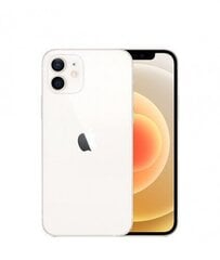 Apple iPhone 12 64ГБ White MGJ63ET/A цена и информация | Мобильные телефоны | pigu.lt