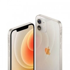 Apple iPhone 12 64GB White MGJ63ET/A цена и информация | Мобильные телефоны | pigu.lt