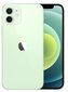 Apple iPhone 12 64GB Green MGJ93ET/A цена и информация | Mobilieji telefonai | pigu.lt