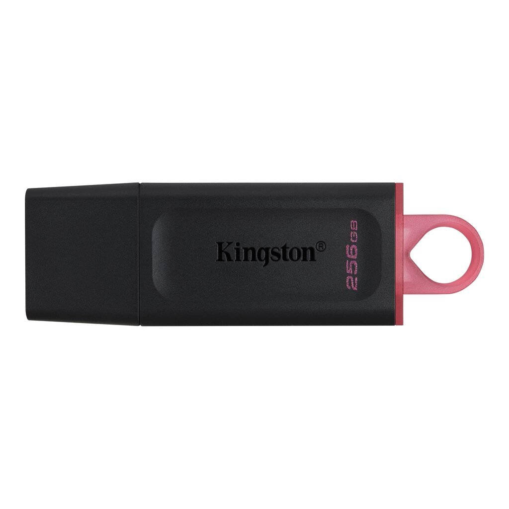 Kingston Exodia 256 GB USB 3.2 kaina ir informacija | USB laikmenos | pigu.lt