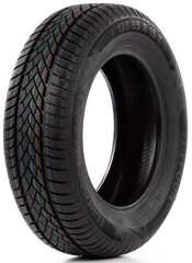 Tyfoon Eurosnow 2 225/55R16 99 H XL цена и информация | Зимняя резина | pigu.lt