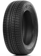 Double Coin DW300 195/55R16 91 H XL kaina ir informacija | Žieminės padangos | pigu.lt